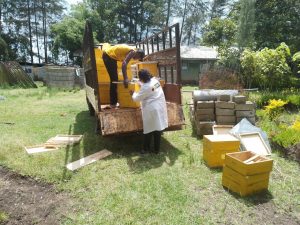 Akili Group Bee Keeping Project 